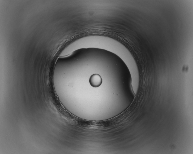 X0000115250504200911201645