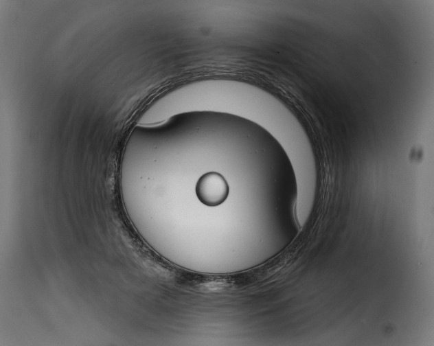 X0000115250505200911201645