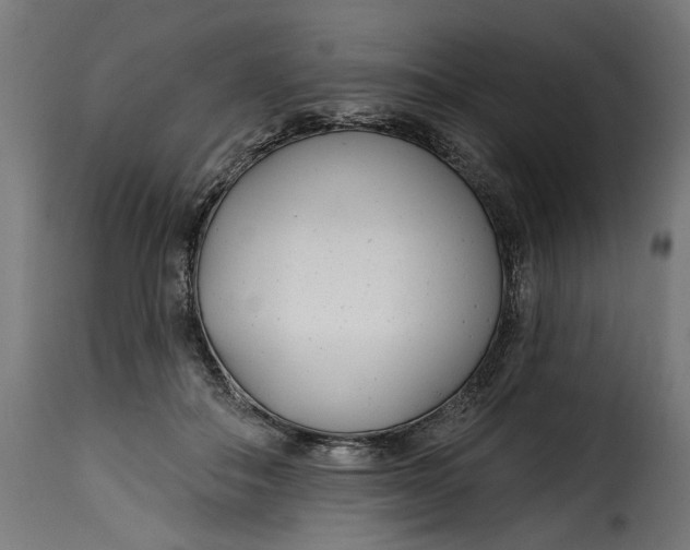 X0000115250506200911201645