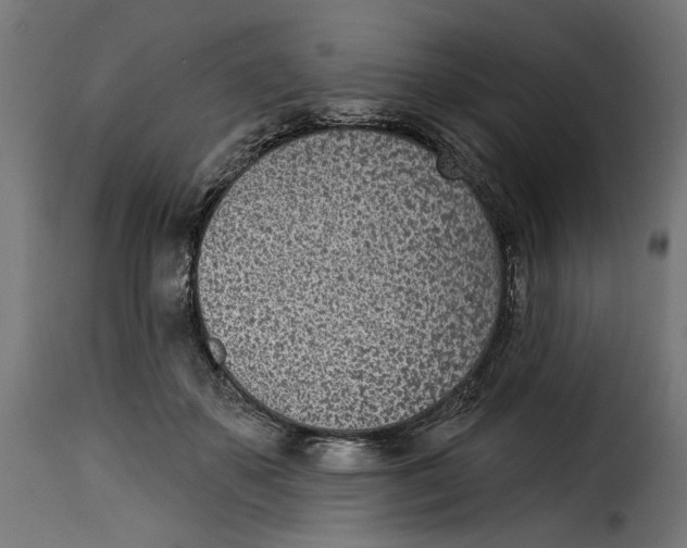 X0000115250507200911201645