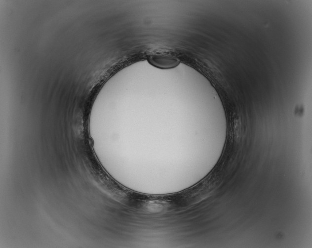 X0000115250508200911201645