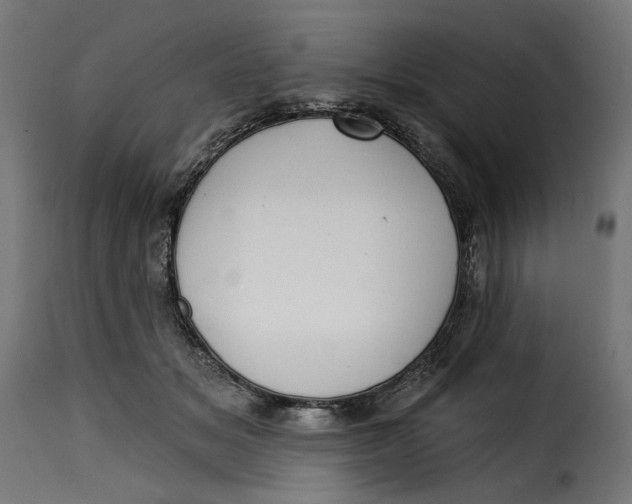 X0000115250509200911201645