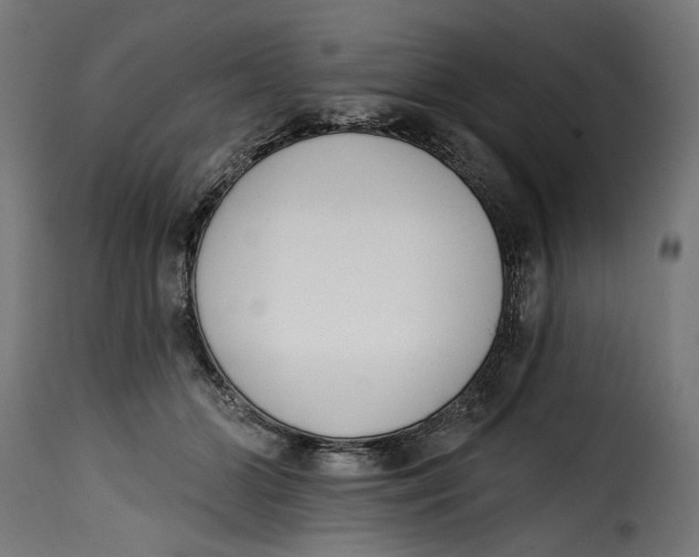 X0000115250510200911201645