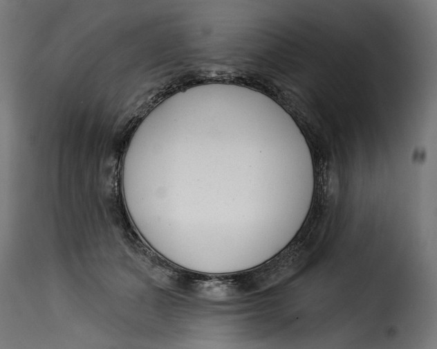 X0000115250511200911201645