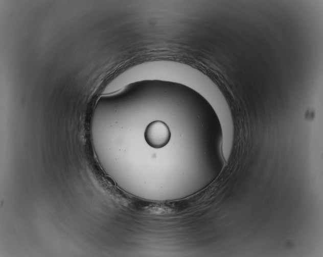 X0000115250512200911201645