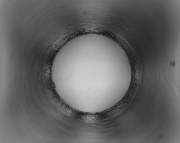 X0000115250513200911201645