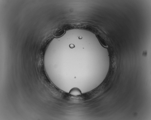 X0000115250515200911201645