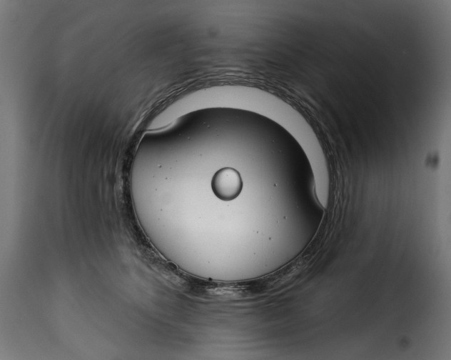 X0000115250516200911201645