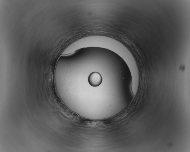 X0000115250517200911201645