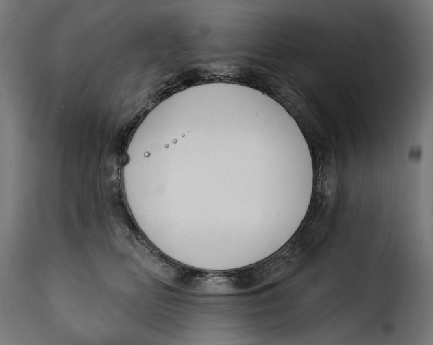 X0000115250518200911201645