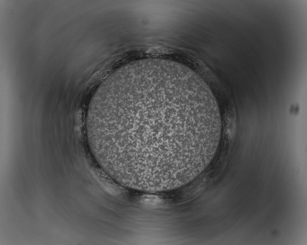 X0000115250519200911201645