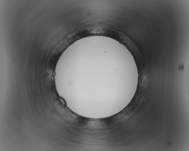 X0000115250521200911201645