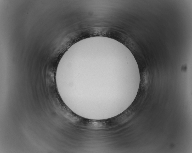 X0000115250522200911201645