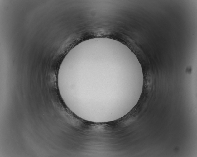 X0000115250523200911201645