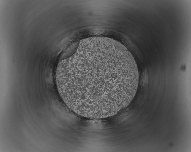 X0000115250524200911201645