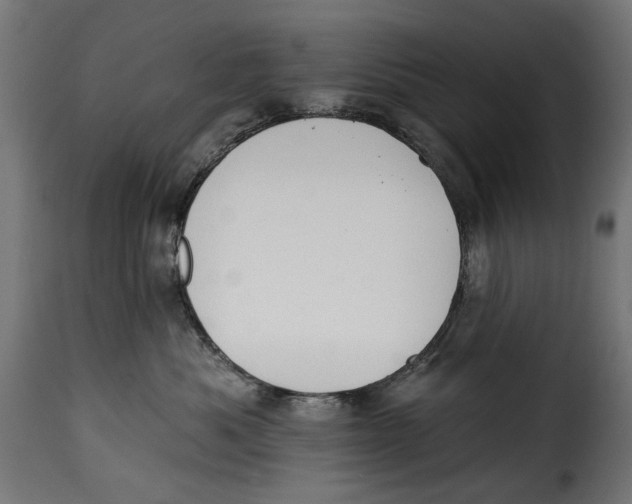 X0000115250525200911201645