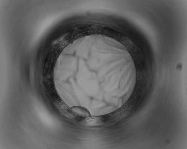 X0000115250526200911201645