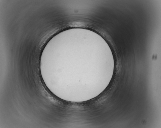 X0000115250529200911201644