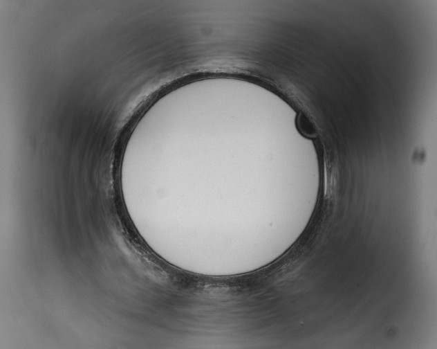 X0000115250531200911201644