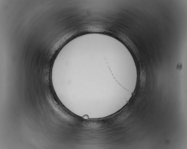 X0000115250533200911201644