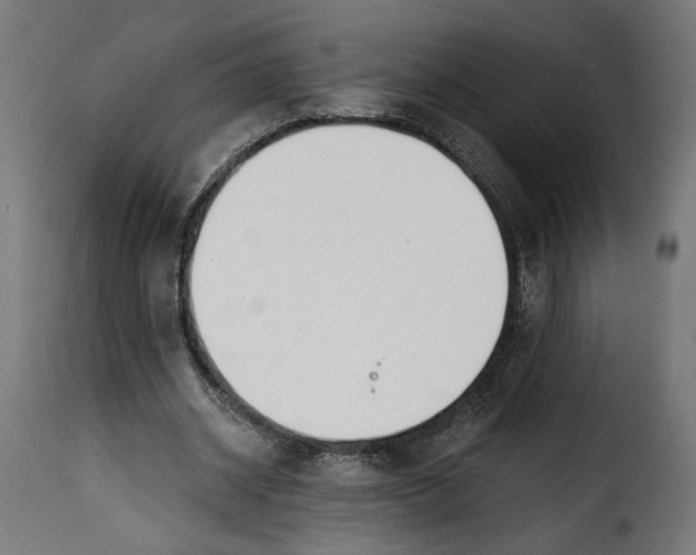 X0000115250534200911201644