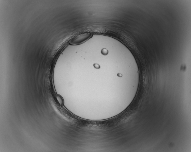 X0000115250538200911201645