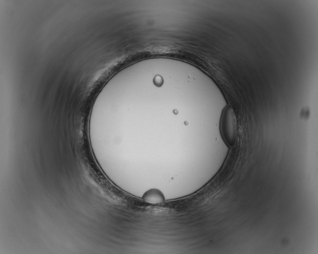 X0000115250539200911201645