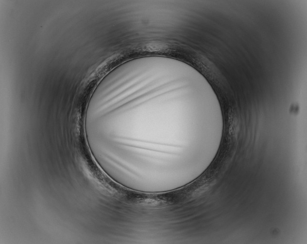 X0000115250542200911201645