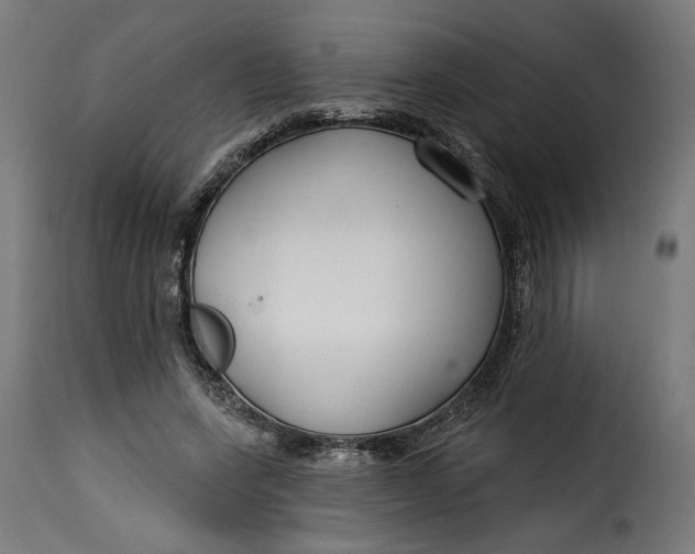 X0000115250543200911201645