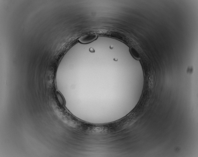 X0000115250546200911201645