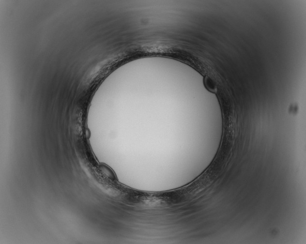 X0000115250547200911201645