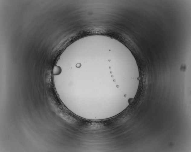 X0000115250549200911201645