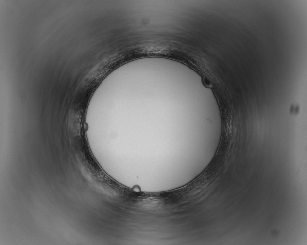 X0000115250551200911201645