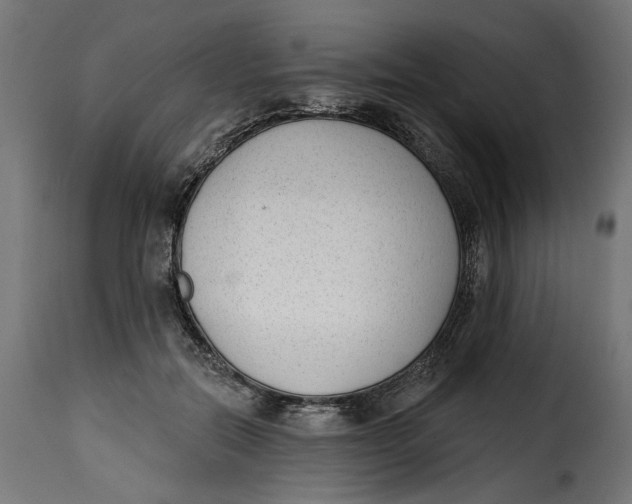 X0000115250554200911201645