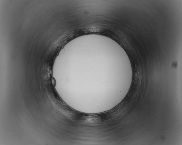 X0000115250555200911201645