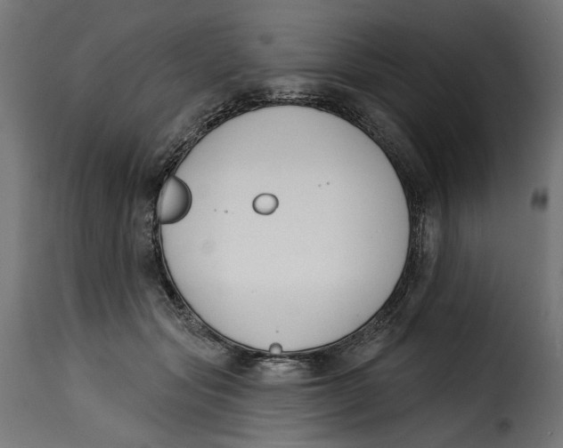 X0000115250557200911201645