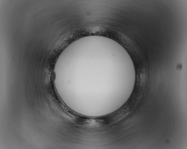 X0000115250558200911201645