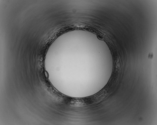 X0000115250559200911201645