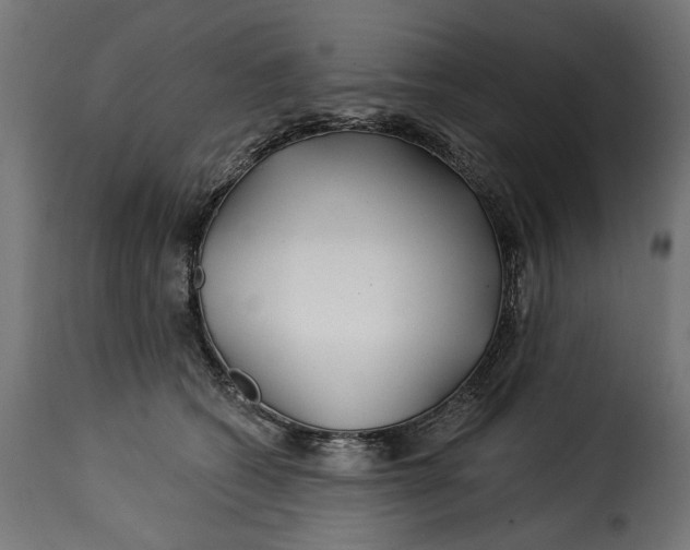 X0000115250562200911201645