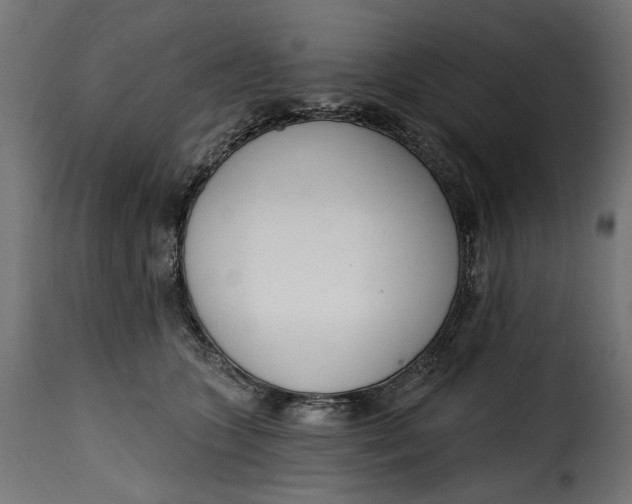 X0000115250563200911201645