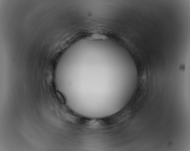 X0000115250566200911201645