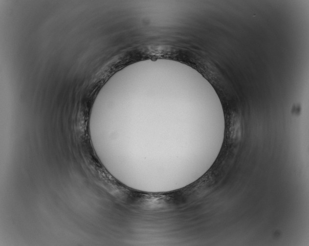 X0000115250569200911201645