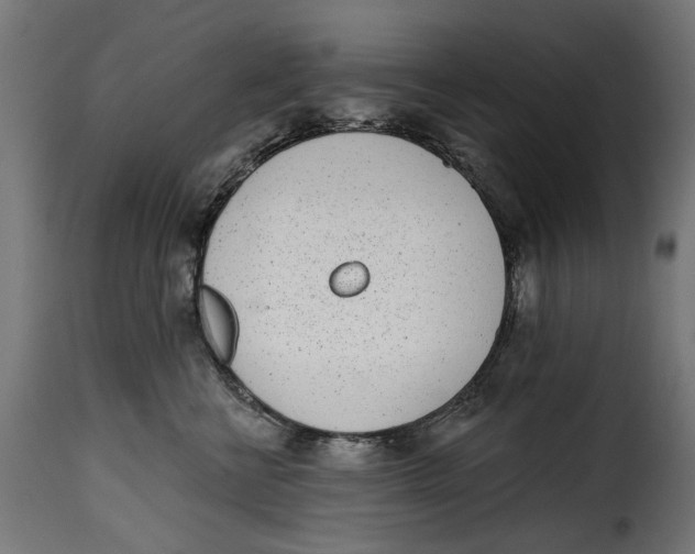 X0000115250570200911201645