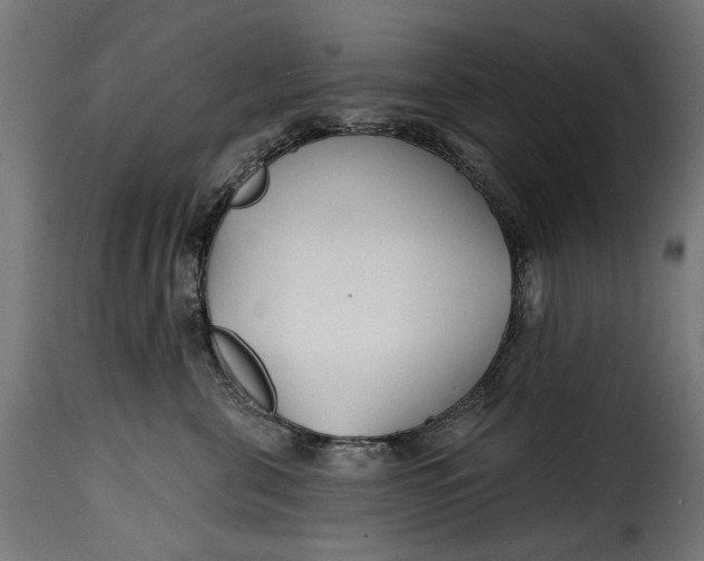 X0000115250571200911201645