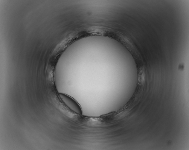 X0000115250573200911201645