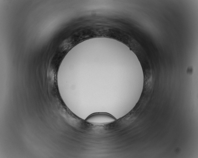 X0000115250574200911201645