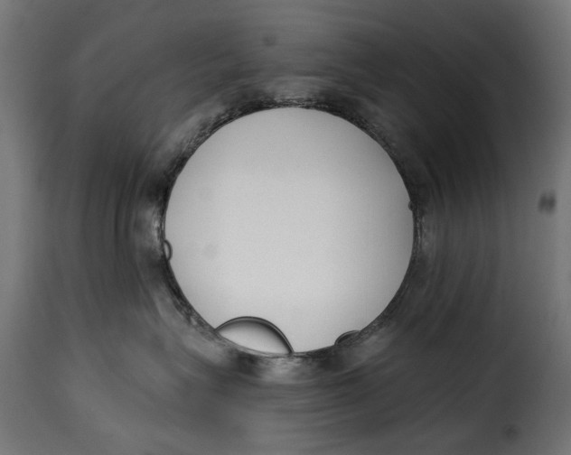 X0000115250575200911201645