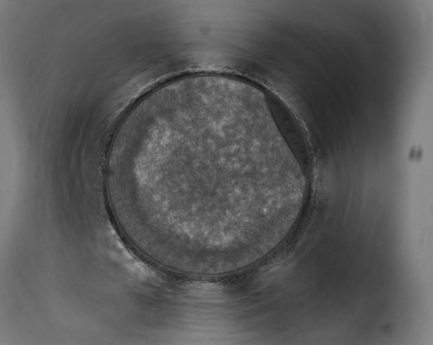 X0000115250577200911201644