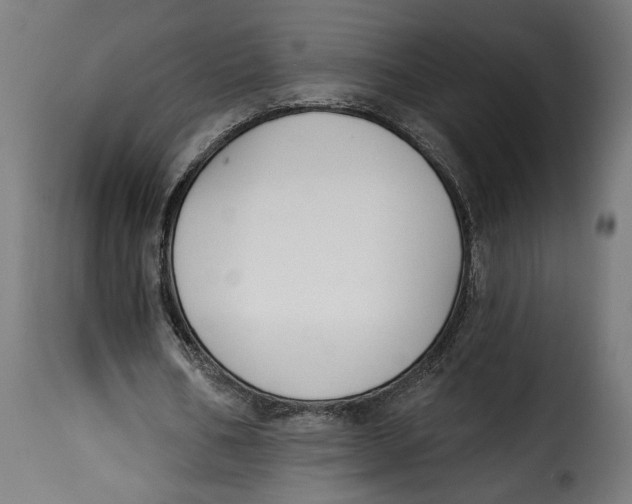 X0000115250578200911201644