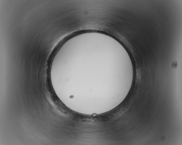 X0000115250580200911201644